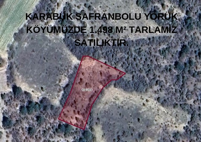 YÖRÜK KÖYÜNDE SATIŞA HAZIR BAHÇE - KARABÜK SAFRANBOLU fotoğraf 6